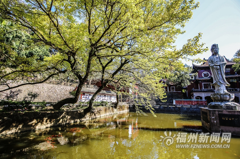 遇見涌泉寺與摩崖題刻